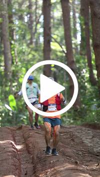 BIB:  <button type="button" onclick="openModal(26569602)" class="btn btn-primary btn-sm float-right" data-toggle="modal" data-target=".modal-high-quality">
                <i class="fa fa-download"></i> Download
                </button>